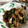 クックE662AA☆'s cooksnap of when they made ししとうのオーブン焼き.
