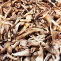 tomoチィ's cooksnap of when they made 血糖値の上昇を防ぐ舞茸の常備菜.