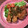 こつゆ514's cooksnap of when they made じっくり揚げた鶏のネギソース（油淋鶏）.