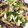 Ran6312's cooksnap of when they made 鰹のたたきの旨ダレ〜♫.