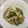 めぐ＊ぴぃ's cooksnap of when they made サメガレイの煮付け.