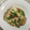 めぐ＊ぴぃ's cooksnap of when they made サメガレイの煮付け.
