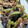クック5WUZ34☆'s cooksnap of when they made ピーマンと茄子の炒め物.