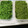 ★フラミンゴ★'s cooksnap of when they made 簡単♪作れちゃう手作り柚子胡椒（自家製）.