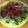 クックIK4DS8☆'s cooksnap of when they made 夏野菜でタコライス風.