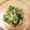 山ばあば's cooksnap of when they made 簡単！オクラときゅうりの大葉和え.