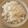 ピーナッツ子♪'s cooksnap of when they made 新米の炊き方.