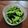 nemuchan's cooksnap of when they made 小松naムル.