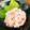※ぴーまん's cooksnap of when they made 牛丼屋さんのまぐろたたき(ネギトロ)丼.