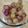 パンダ達の母です。's cooksnap of when they made ぶどうの皮がつるりん♪.