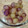 パンダ達の母です。's cooksnap of when they made ぶどうの皮がつるりん♪.