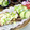 ★ゆずきん★'s cooksnap of when they made すだち消費☆鶏肉ソテーすだちソース添え.