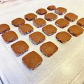たしろさん's cooksnap of when they made ココアのディアマンクッキー.