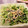 りいまあ's cooksnap of when they made 簡単1品☆豆苗としらすのバタポン炒め♪.