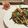 ☆＊お家グルメ工房＊☆'s cooksnap of when they made ひじきのきんびら.