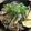 saki1010's cooksnap of when they made 海老とほうれん草・バター醤油の和風パスタ.