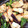 miiko大好き's cooksnap of when they made 塩麹鶏むね肉と夏野菜のコクうま炒め.