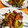 それいゆ★'s cooksnap of when they made 甘長とうがらしとちくわの甘辛炒め.