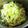 子供ネギ星人's cooksnap of when they made ＊簡単あと一品＊キャベツと油揚の白だし煮.