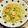 カプチッチ's cooksnap of when they made 春キャベツとしらすのバター醤油パスタ☆.