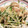 miiko大好き's cooksnap of when they made 水菜と豚のゆずこしょう炒め.