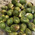 saki1010's cooksnap of when they made オーブンでカリッとロースト芽キャベツ！.