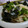 スイートバスルーム's cooksnap of when they made オクラと長芋のとろとろソーメン.
