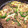 miiko大好き's cooksnap of when they made 簡単★筍とピーマンとひき肉の中華炒め.