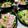 うたかた。's cooksnap of when they made 豚ばらとキャベツとにらのフライパン蒸し.