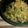 こん２'s cooksnap of when they made クラゲの中華和え.