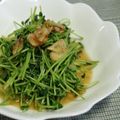 こん２'s cooksnap of when they made 豆苗のにんにく風味炒め.