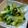 ばたみそーぱん☆'s cooksnap of when they made 小松菜のおいしい食べ方1位☆(青菜炒め).