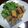 flipper6's cooksnap of when they made 揚げずにオーブンで「鯖の竜田揚げ」♪.