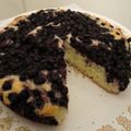 ふくめい's cooksnap of when they made 泡立て無しで簡単☆さっぱりしっとりブルーベリーヨーグルトケーキ.