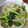 K/S's cooksnap of when they made 小松菜ともやしの煮びたし.