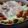 愛うらら's cooksnap of when they made ゴーヤと卵のケチャマヨ焼き.
