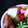 ゆいランラン's cooksnap of when they made とろ～り美味しい我が家の煮卵.