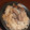 きらり流れ星's cooksnap of when they made きのこの炊き込みご飯.