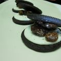 シャンプーハット's cooksnap of when they made チョコクッキーラムレーズンサンド.