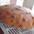 noamanma's cooksnap of when they made 自家製酵母☆ストレート法でカンパーニュ.