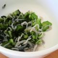 徹嫁っち's cooksnap of when they made 離乳食☆後期　しらす・オクラ・ほうれん草.