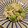 たもたん's cooksnap of when they made ✿枝豆とツナのマヨネーズ和え✿.