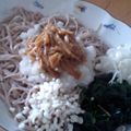 SILK0205's cooksnap of when they made なめたけ★おろし蕎麦.