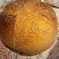 ゆうこwith３人's cooksnap of when they made ヨーグルト酵母でカンパーニュ.