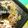 piko-rin's cooksnap of when they made 蕎麦パスタ.