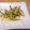 sakorinrin's cooksnap of when they made きゅうりささ身のさっぱり中華サラダ.