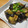 ＭＡＨＯママ's cooksnap of when they made こっくり、とろり、茄子の味噌炒め.