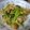 K/S's cooksnap of when they made ホタテと小松菜の煮浸し.