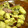 ラピッチョ's cooksnap of when they made 簡単うまふぃす　さつまいものおやつ.