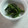 ぐっちＰＩＮＧＵ's cooksnap of when they made ほうれん草のゴマ和え.